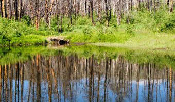 2493 Greer Rd, Bellvue, CO 80512