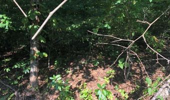 Lot 9 Cawood DR, Bella Vista, AR 72714