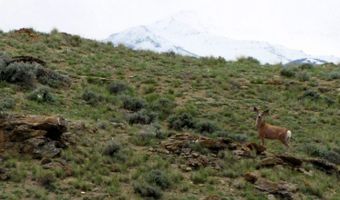 Tbd Richland Trail Clark Wyoming 80, Clark, WY 82435