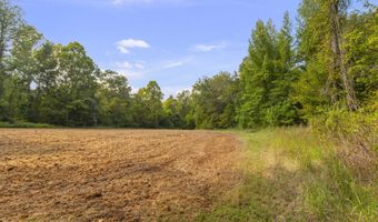 2233 Holloman Rd, Bentonia, MS 39040