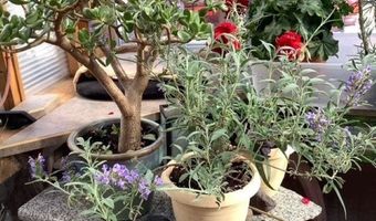 97 Calle Conejo, Arroyo Hondo, NM 87513