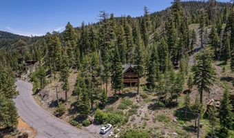1461 Mineral Spring Trl, Alpine Meadows, CA 96146
