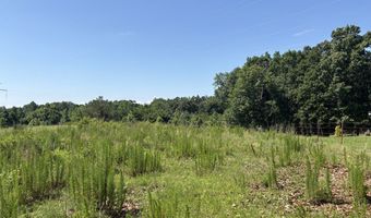 Beauty Hill Rd lot 1, Bethel Springs, TN 38315