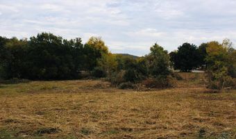 12 99 Ac Vacant Land Logan St, Altus, AR 72821