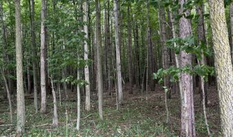 V/L 108TH AVENUE, Allegan, MI 49010