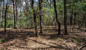 S Badger Lane lot 38, Arkdale, WI 54613