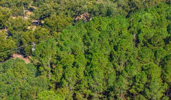 6102 Newton Rd, Albany, GA 31721