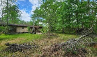 4611 NW 244TH Ave, Alachua, FL 32615