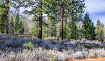 240 Forest Hill Way, Gardnerville, NV 89460