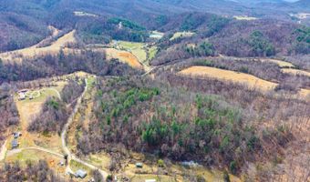 Puppy Creek, Amherst, VA 24521