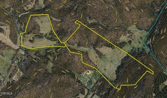 1520 Brittontown Rd, Afton, TN 37616