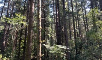 Laurel Rd 2000, Bandon, OR 97411
