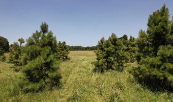 0001 E 1960 Rd, Antlers, OK 74523
