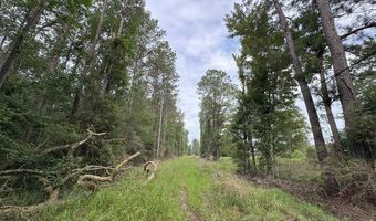 La Highway 442, Albany, LA 70711