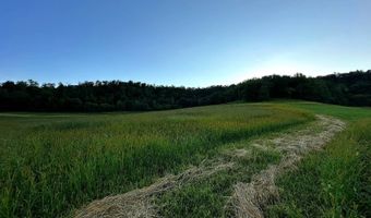TBD Bear Pen Rd, Arkansaw, WI 54721