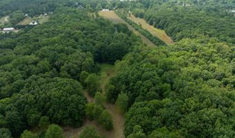 39 Acres N Pingree Rd, Alma, MI 48801