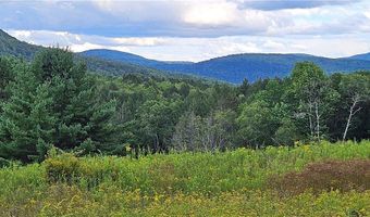Shaver Hollow, Andes, NY 13731