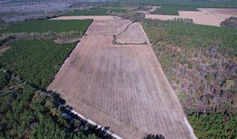 53 86 Acres-TBD Pate Rd, Bishopville, SC 29010