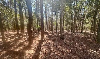 0 Tervin Mill Rd, Andalusia, AL 36421