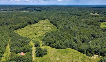 6925 Cobbham Rd, Appling, GA 30802