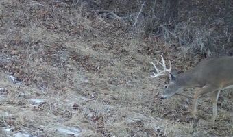 197 Th Trl, Albia, IA 52531