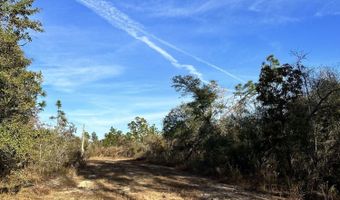 3015 Castillo Dr, Alford, FL 32420