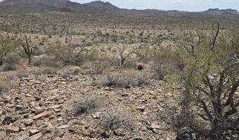 10 Acres 121-02-020, Yucca, AZ 86438