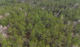 TBD Hwy. 29, Brooklyn, MS 39425