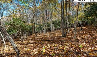 000 Pigeon Roost Rd, Banner Elk, NC 28604