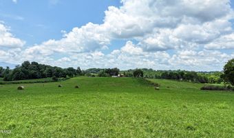Chuckey Doak Road, Afton, TN 37616