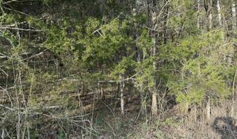 5 Acres Hwy 415, Albany, KY 42602