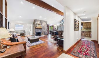 593 Meadowood Dr, Aspen, CO 81611