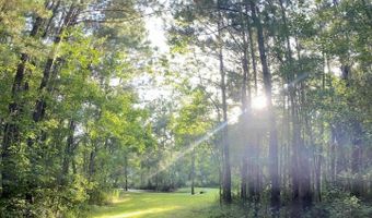 1441 Blue Meadow Rd, Bay St. Louis, MS 39520