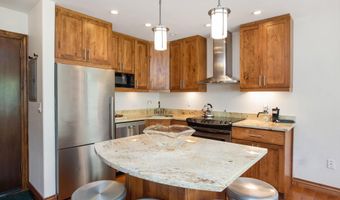 725 E Main St #309, Aspen, CO 81611