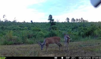 00 Ebenezer Church Rd, Bassfield, MS 39421