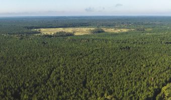 Bill Hubbard Rd, Braxton, MS 39044