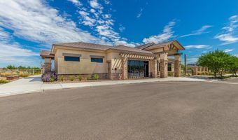 9888 N Mojave Sage Ave Plan: Forest  Plan X35F, Marana, AZ 85653