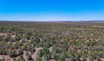 Stagecoach Dr 47 Acres, Ash Fork, AZ 86320