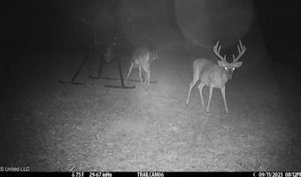 2233 Holloman Rd, Bentonia, MS 39040