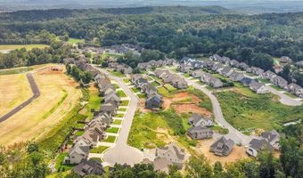 10623 Flicker Way, Apison, TN 37302