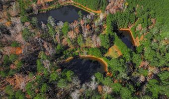 7501 Rainey Morris Rd, Appling, GA 30802