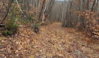 M5/L27 Pond Road, Abbot, ME 04406