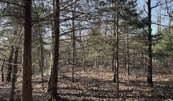 Pecks Drive N, Bergman, AR 72615