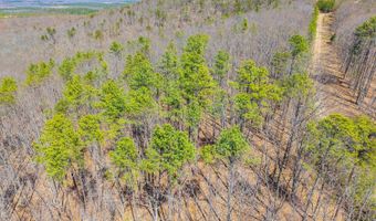 Larkin Mountain, Amherst, VA 24521