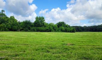 3350 SE Mount Pleasant Ln, Bogue Chitto, MS 39629