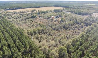 4065 Gordon Rd, Abbeville, GA 31001