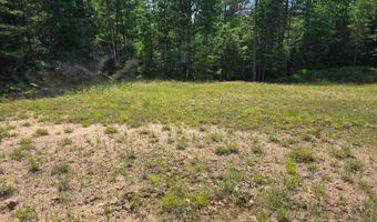 Off HWY 51, Arbor Vitae, WI 54521