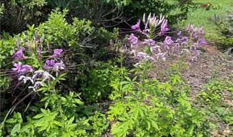 315 Woody Rd NW, Adairsville, GA 30103