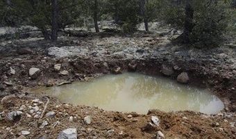 918 Wolf Rd, Ash Fork, AZ 86320