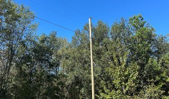 20 Ac Coot Adams Rd, Ashford, AL 36312